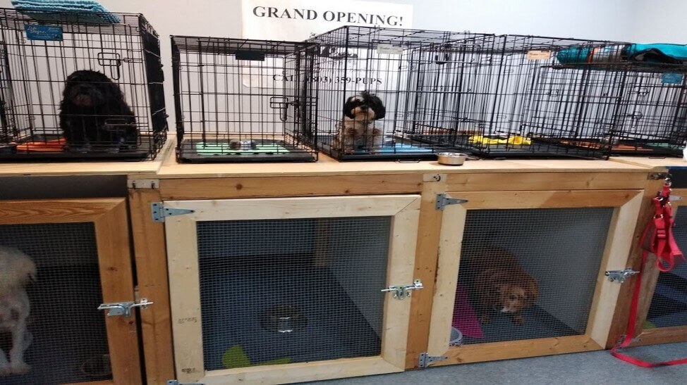 Retail for Rent Columbia SC Retail office for lease